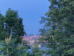 Un paisaje urbano al atardecer con edificios y árboles en primer plano.