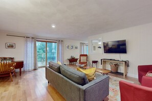 TV, fireplace, books