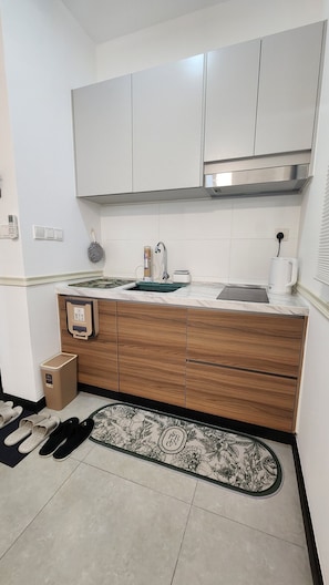 Fridge, stovetop, dishwasher, electric kettle