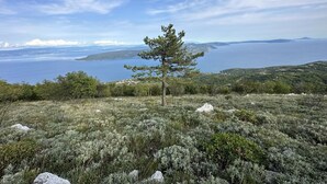 A coastal landscape with a single pine tree in the foreground, a clear sky, and a view of the sea and distant landforms. - Luxury Seaview Apartment (Zagorje)