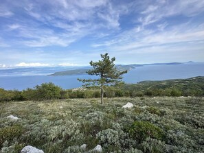 A coastal landscape with a single pine tree in the foreground, a clear sky, and a view of the sea and distant landforms. - Luxury Seaview Apartment (Zagorje)