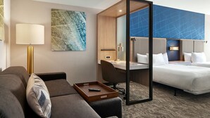 A hotel room with a sofa, a desk, a bed, and a large window. - Springhill Suites By Marriott Frederica (Frederica)