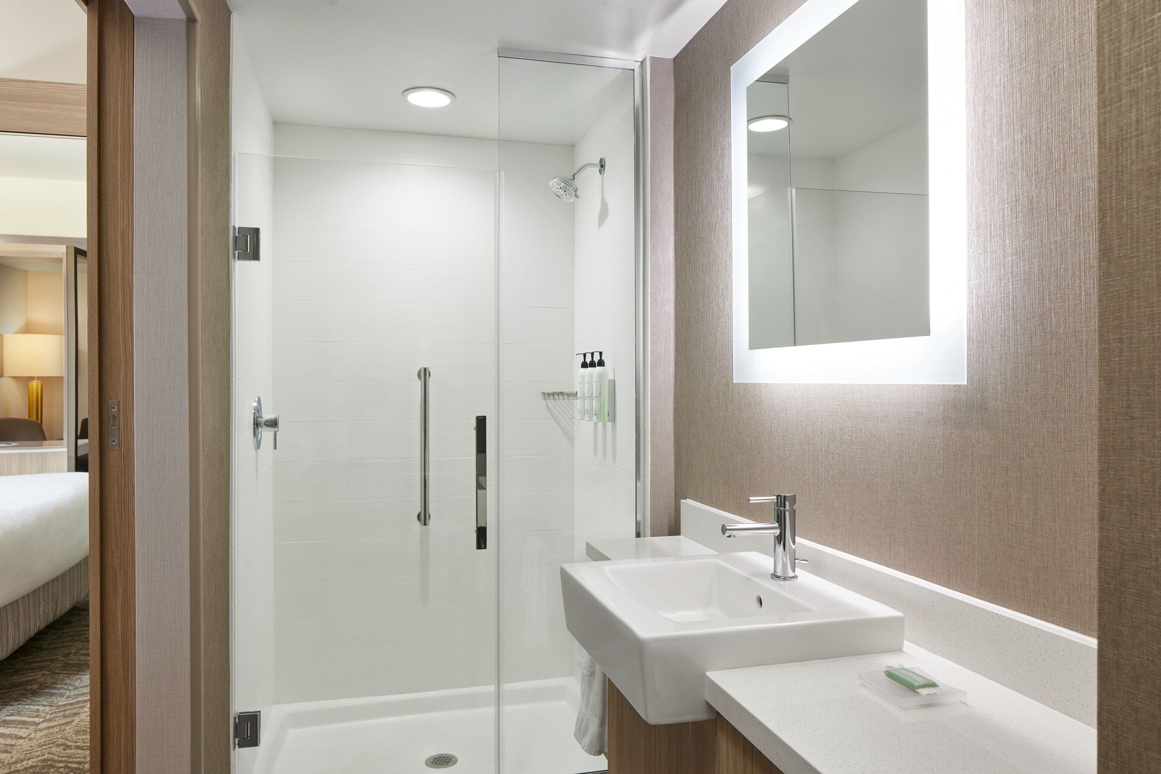 A modern bathroom with a glass shower enclosure, a white sink, and a large mirror.