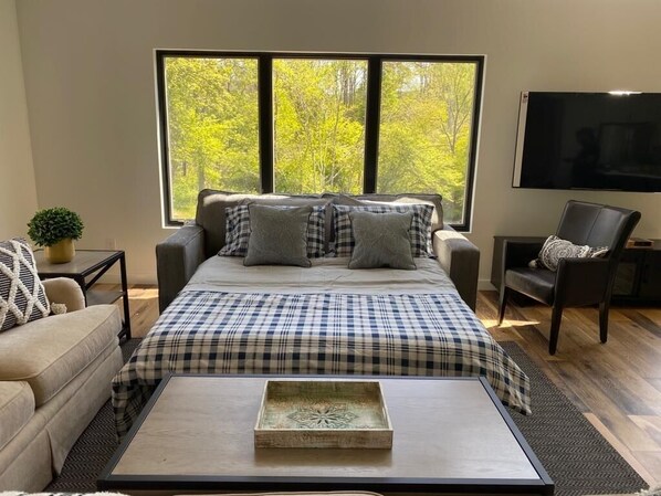 Smart-TV, Tischtennisplatte, Bücher