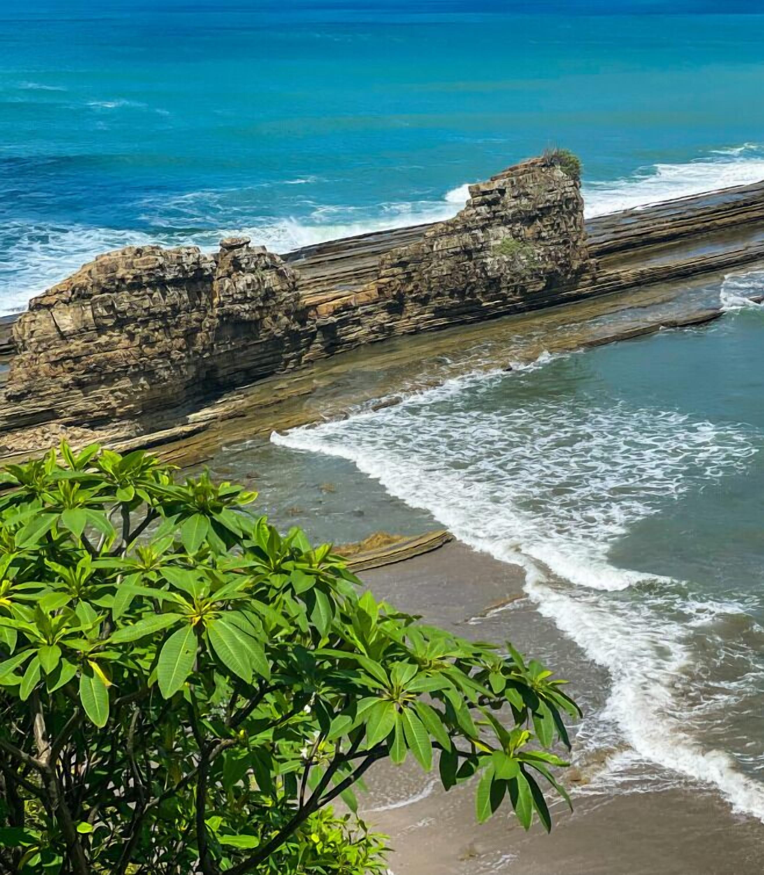 A coastal view with a rocky shoreline, waves, and green foliage.