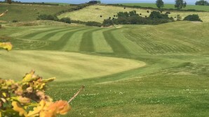 A rural landscape with rolling green fields, a distant building, and a clear sky. - 5star Serviced Homes- Free Wifi & Parking, Office (Sunderland)