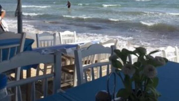 A beachside table with a blue tablecloth, white chairs, and a potted plant.