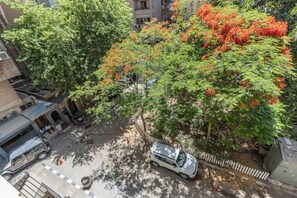 施設の敷地