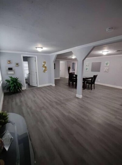 Bush Gardens, USF, Hard Rock group stay!