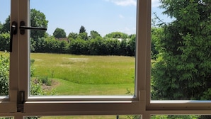 Una ventana con vista a un campo cubierto de césped y árboles.