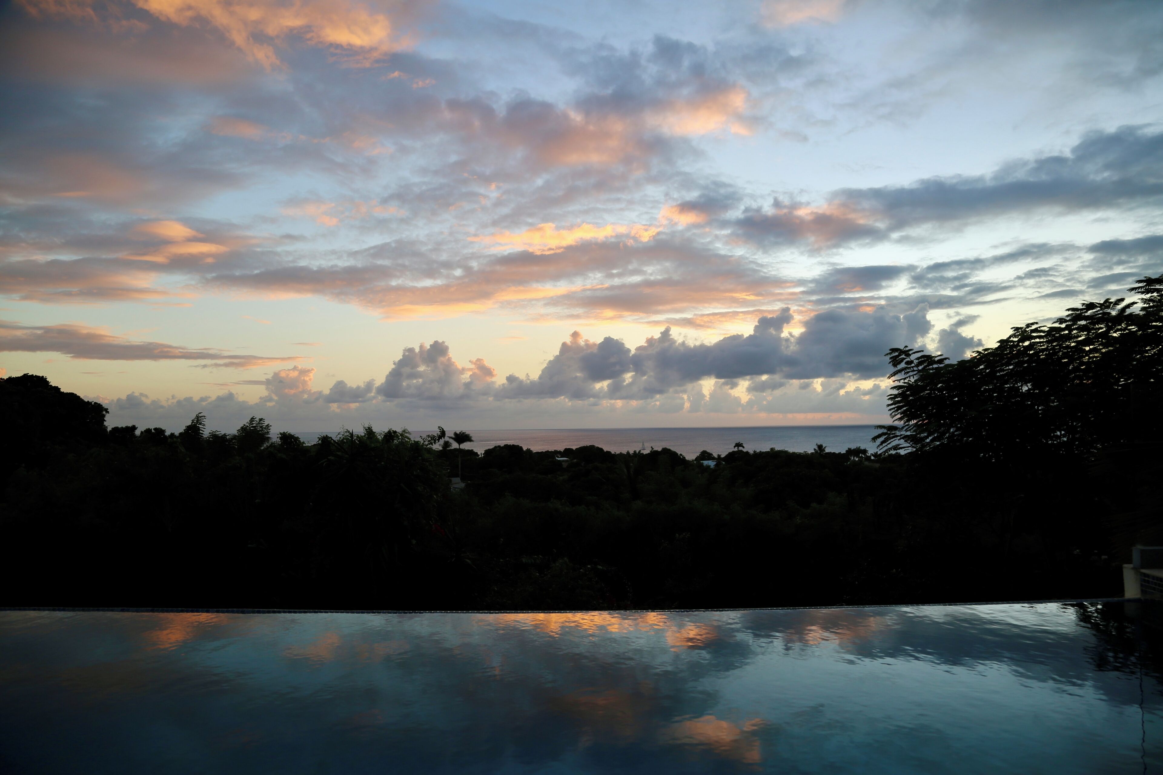 Una piscina che riflette un cielo al tramonto con nuvole, circondata da una fitta vegetazione.