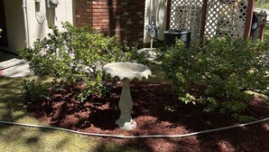 Um jardim com um bebedouro para pássaros, cobertura de mulch e uma cerca de madeira.