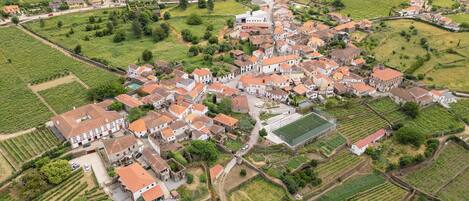 Vista aérea de un pueblo con viñedos en terrazas, edificios tradicionales y una plaza central.