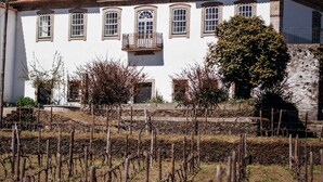A white building with a balcony, surrounded by a vineyard. - Casa do Santo - Wine & Tourism (Sabrosa)