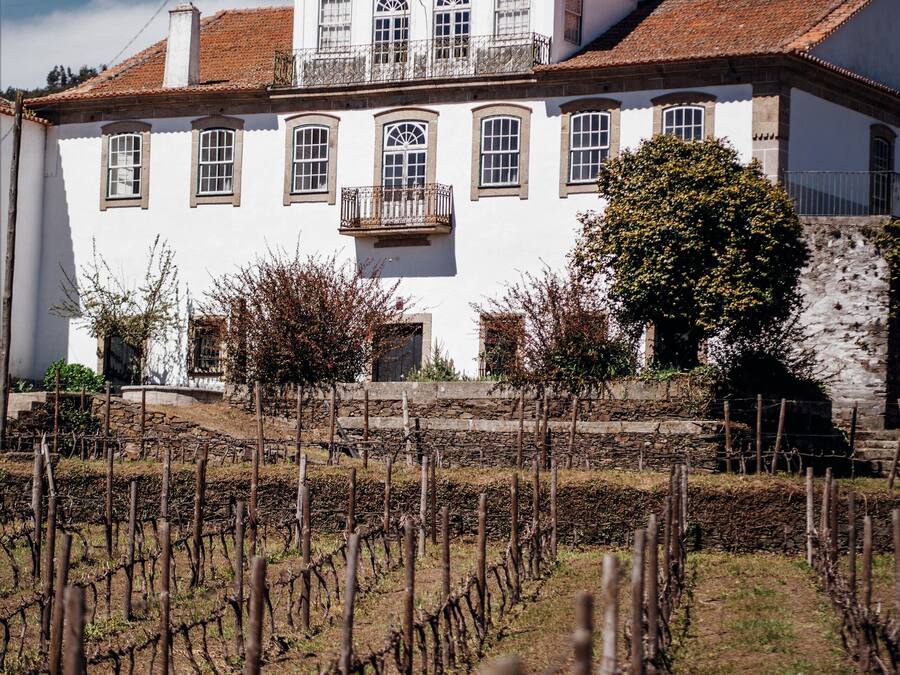 Un edificio blanco con balcón, rodeado de un viñedo.
