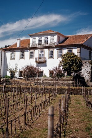 Garden - Casa do Santo - Wine & Tourism (Sabrosa)