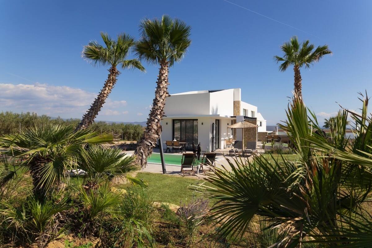 Una casa moderna amb piscina, envoltada de palmeres i un cel serè.