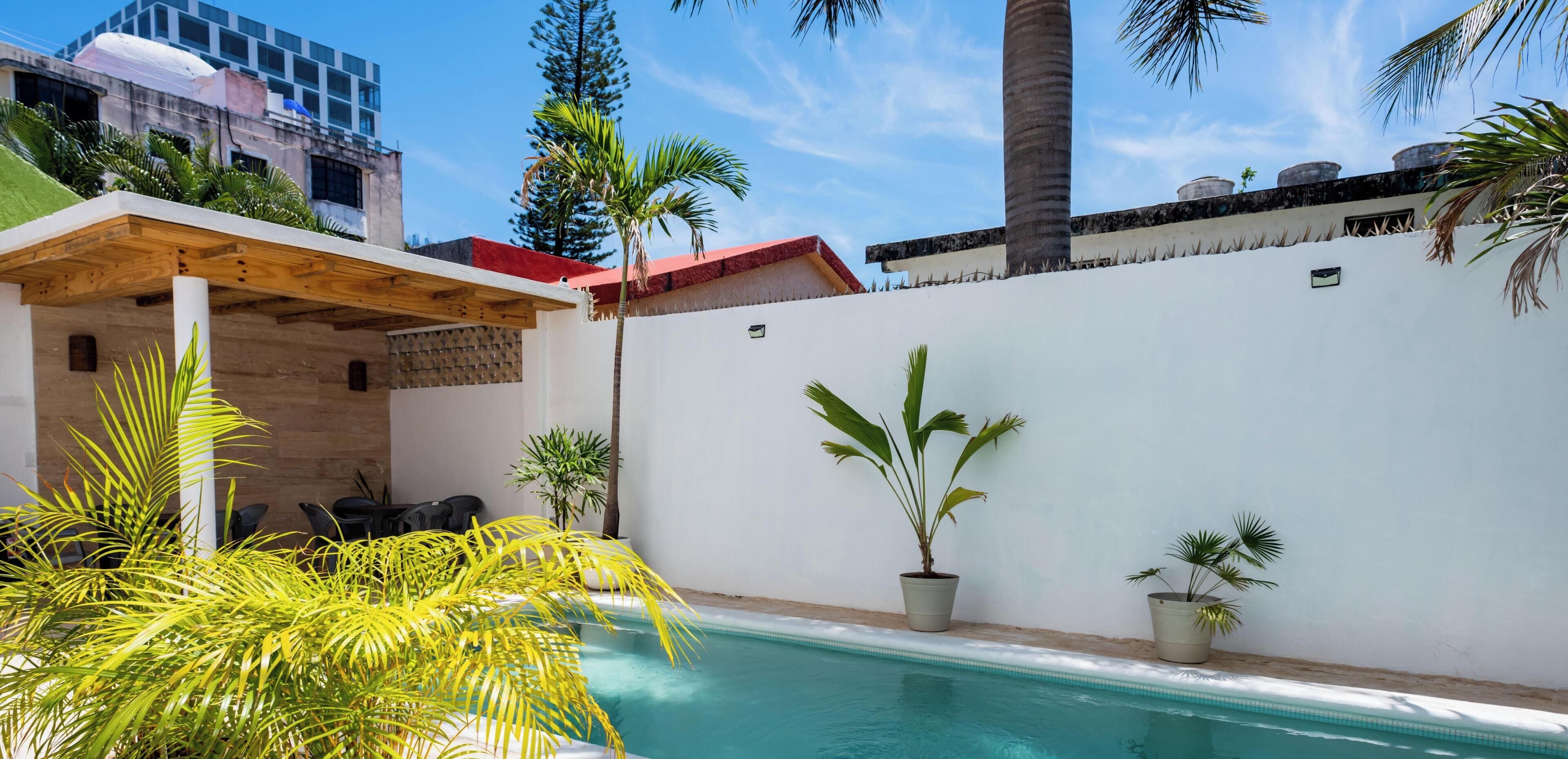 A swimming pool with a white wall, potted plants, and a wooden pergola.
