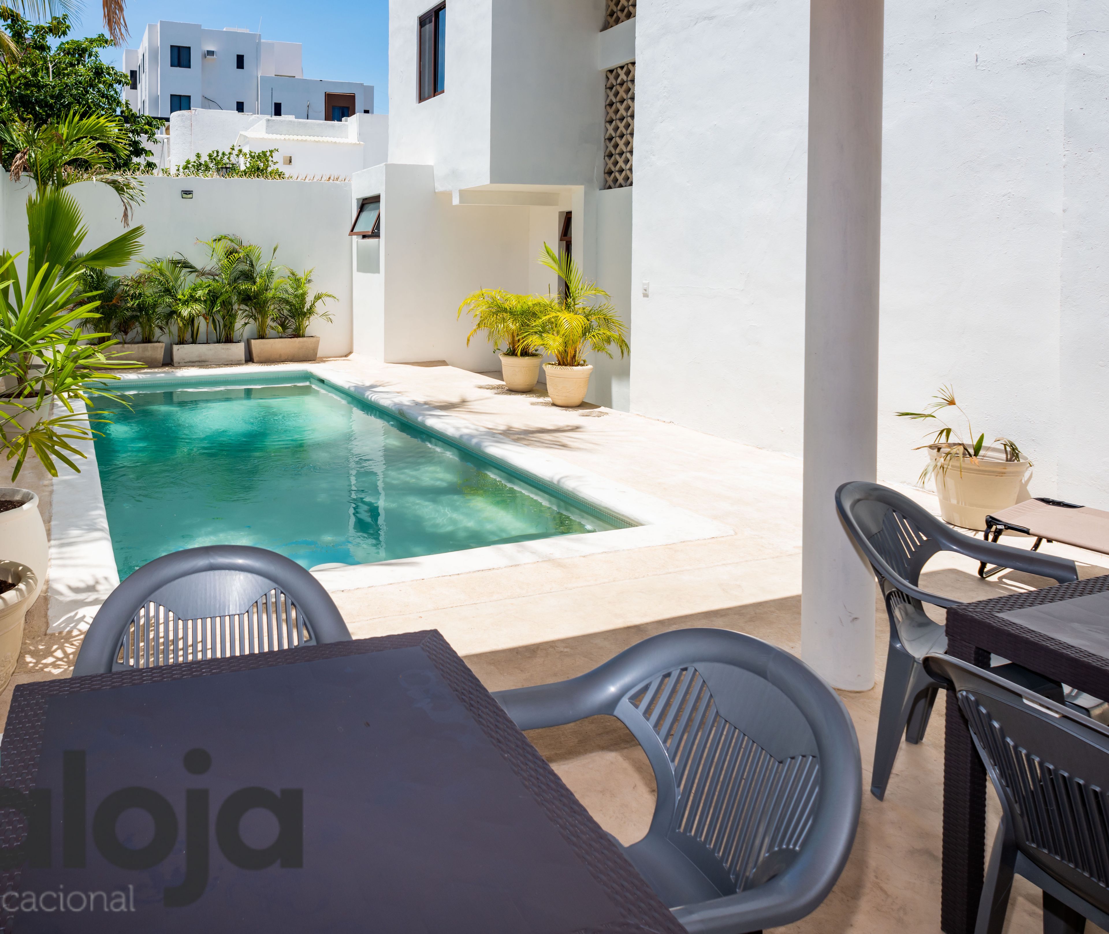 Zona junto a la piscina con mesa y sillas, rodeada de plantas en macetas y paredes blancas.