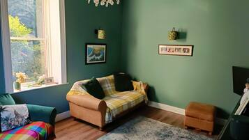 Smart TV, fireplace, books