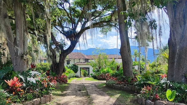 A dirt path leading to a white building with a red-tiled roof, surrounded by lush greenery and trees with hanging moss. - Hotel Hacienda el Novillero (Fusagasugá)