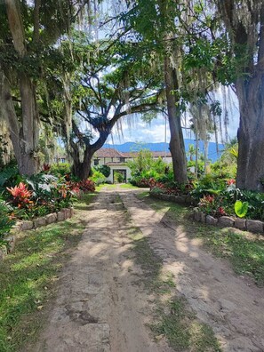 Un sentier de terre mène à un bâtiment blanc surmonté d’un toit de tuiles rouges, entouré d’une végétation luxuriante et d’arbres couverts de mousse pendant.
