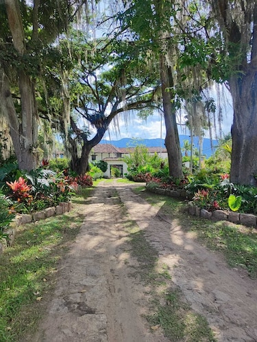 Hotel Hacienda el Novillero