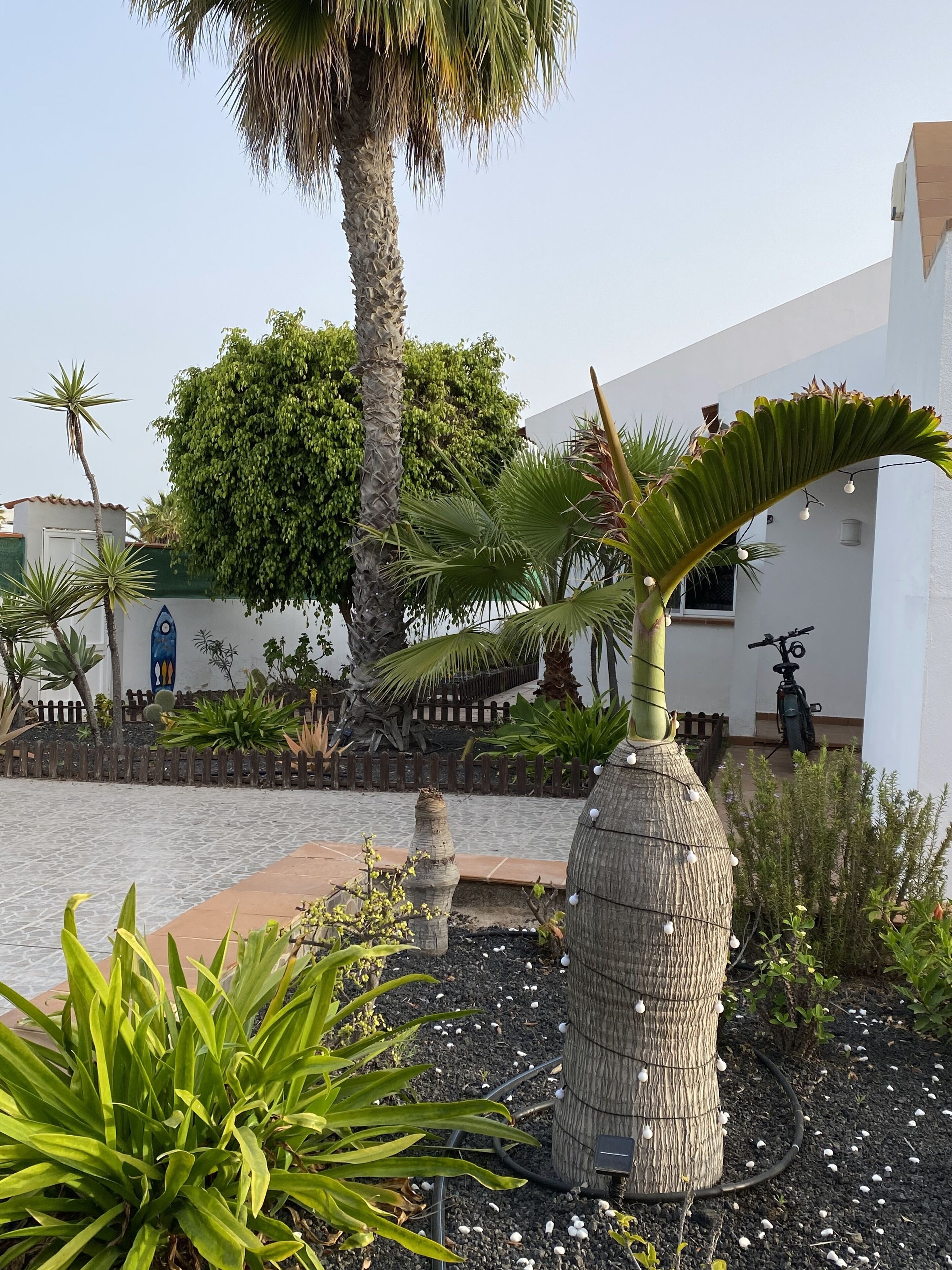 Jardines del alojamiento