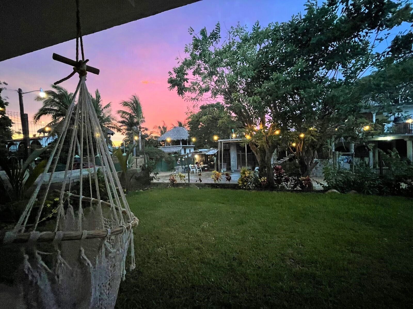 A garden with a hammock, a thatched-roof structure, and string lights.