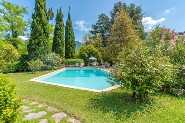 A rectangular swimming pool surrounded by lush greenery, including tall trees and flowering bushes.