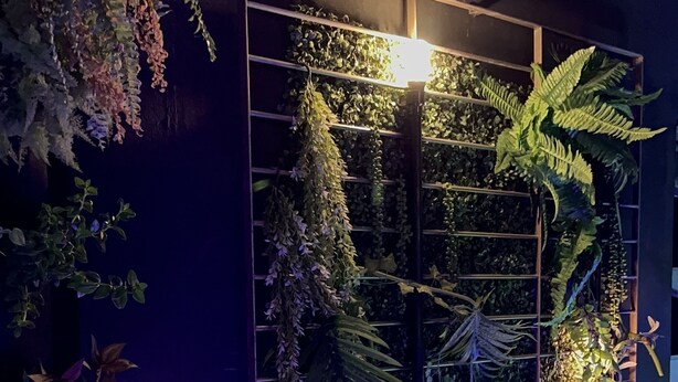 A vertical garden with various plants and a grid structure, illuminated by lights. - Esquina 8 Hostel (Florianópolis)