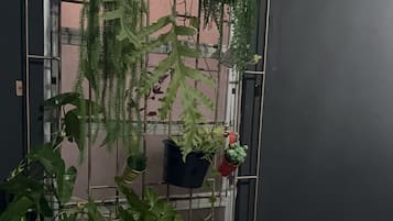 리셉션