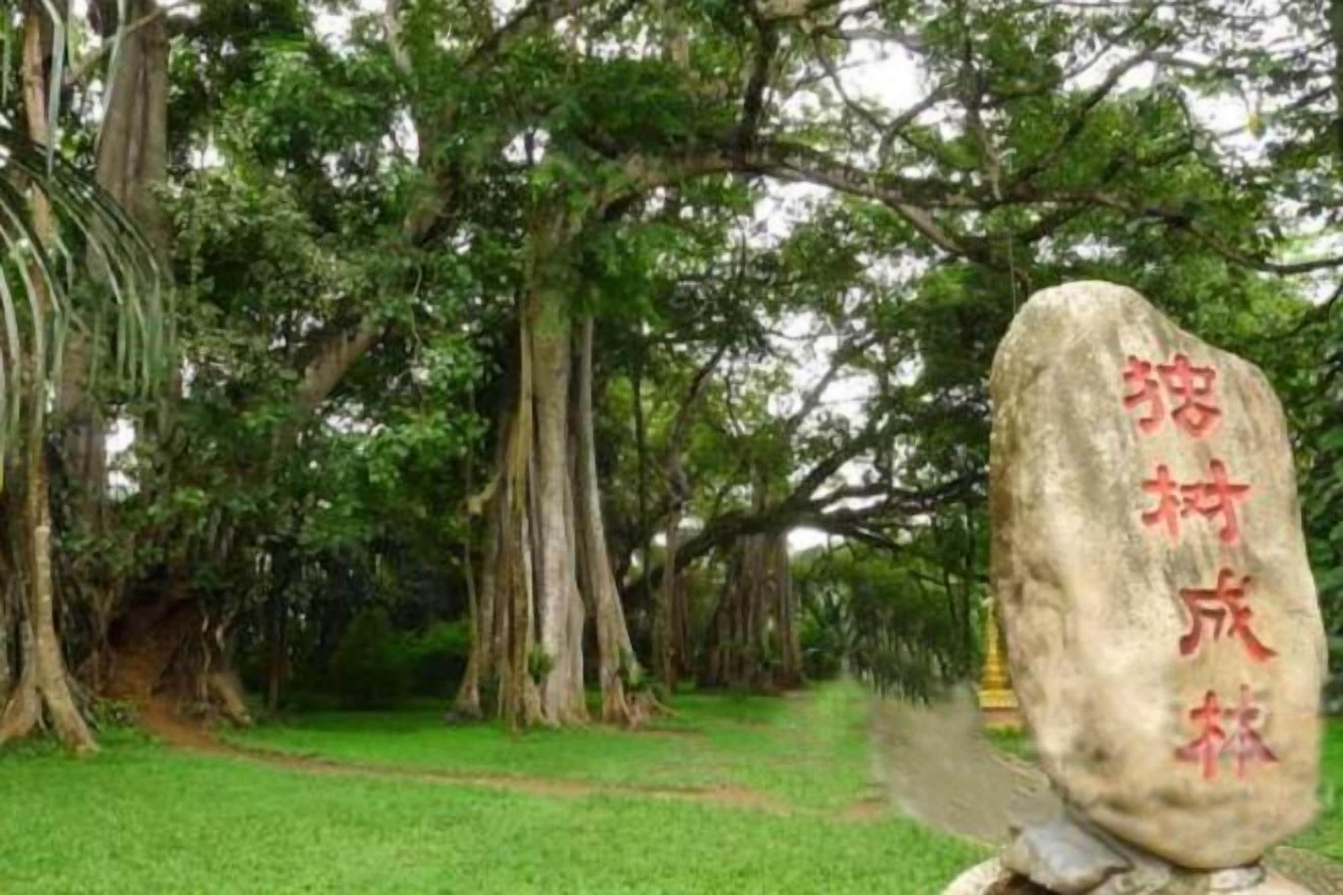 A stone with Chinese characters, surrounded by a lush green area with trees.
