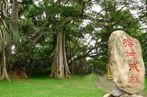 Uma pedra com caracteres chineses, rodeada por uma área verde exuberante com árvores.