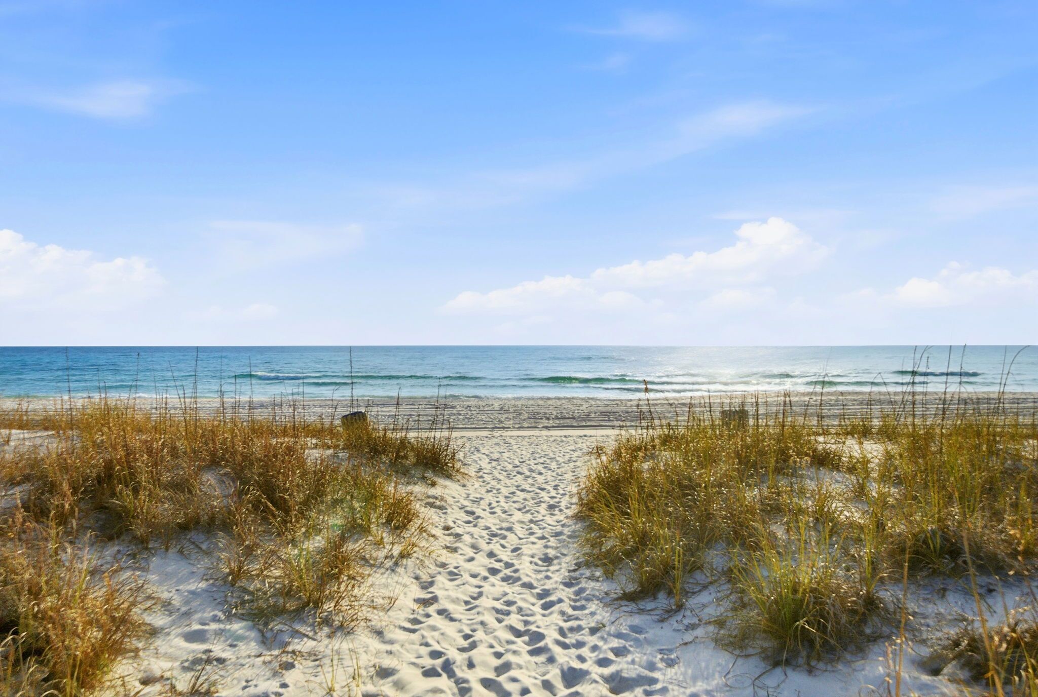 A sandy beach path leading to the ocean with sparse vegetation.