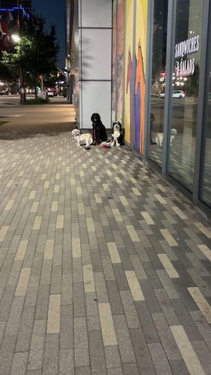 A sidewalk with a patterned pavement and a building with a colorful mural. - WorldCup Central- Easy access for sports and entertainment. (Houston)