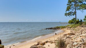 Ein Strand mit felsigem Gelände, sandigem Ufer und einer Kiefer.