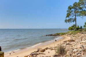 A beach with a rocky shoreline, a pine tree, and calm water.