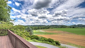 Um deck de madeira com vista para um campo verde, uma trilha pavimentada e uma fazenda ao longe.