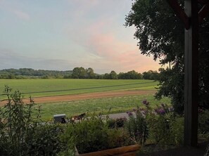 En vy från en inglasad veranda med utsikt över en grön äng, en grusstig och en rad lila blommor i förgrunden.