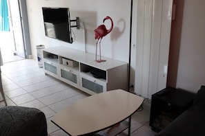 Fernseher, Bücher