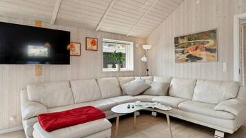 Télévision, cheminée, lecteur de DVD