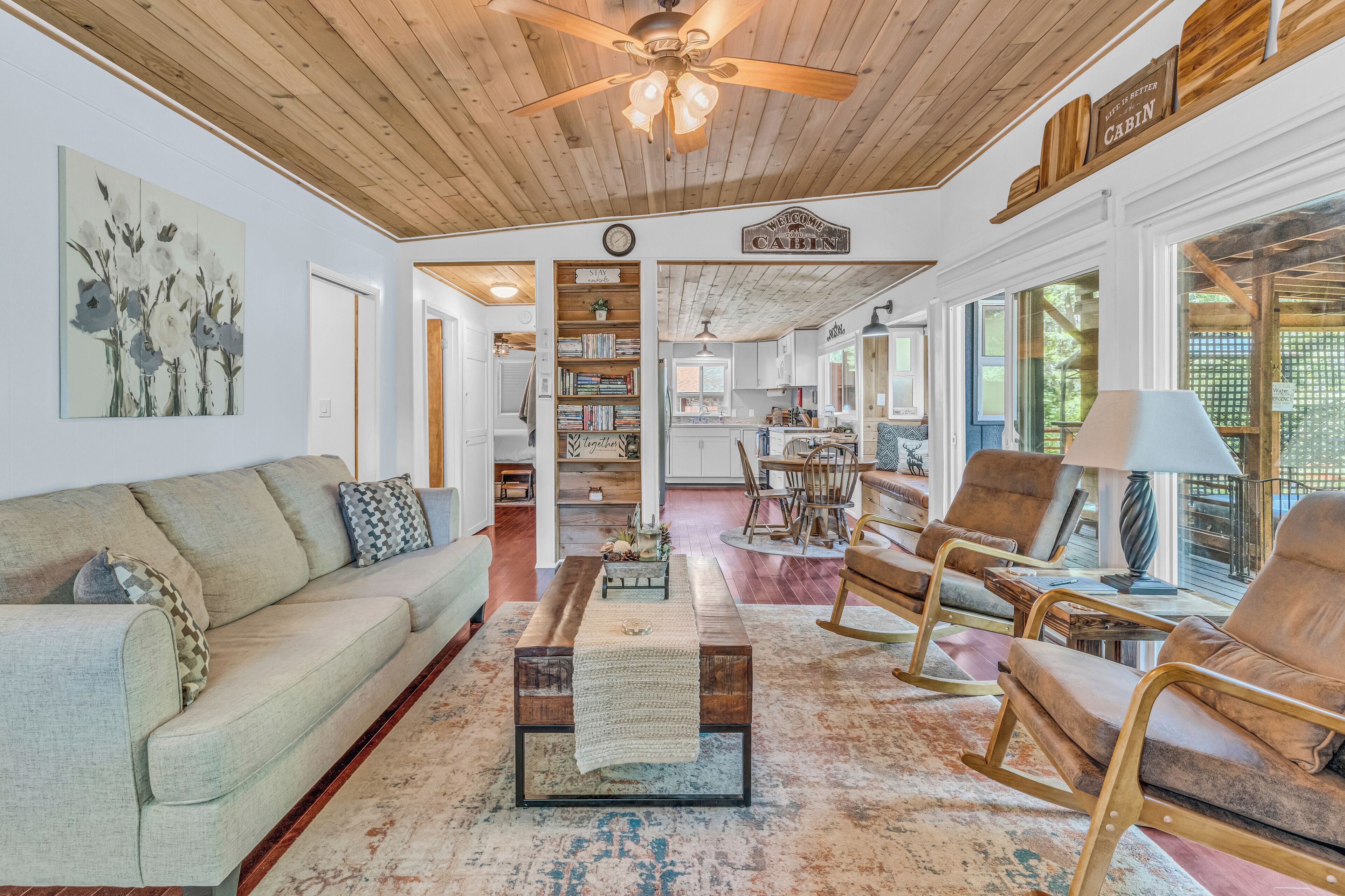 TV connectée, cheminée, lecteur de DVD, livres