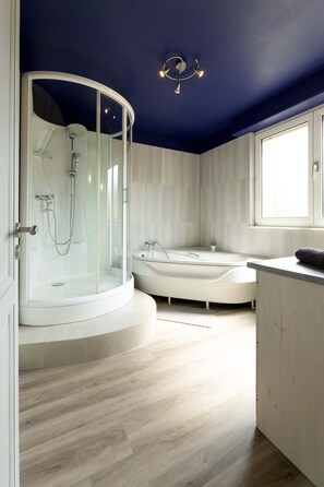 Shower, hair dryer, towels