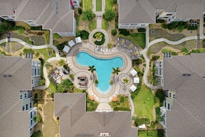 Pool - Beautiful 1bdrm Luxury condo (Tampa)