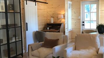 TV, fireplace, books, music library