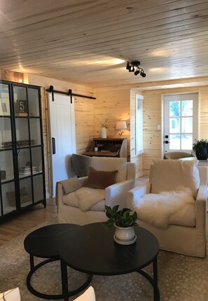 TV, caminetto, libri, biblioteca musicale