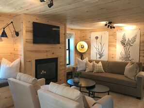 Una televisión, una chimenea, libros, una biblioteca de música