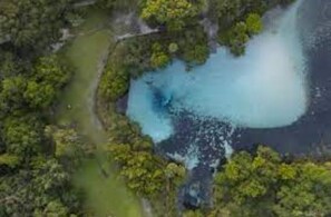 Surrounded by lush greenery, this serene lake offers a tranquil escape.