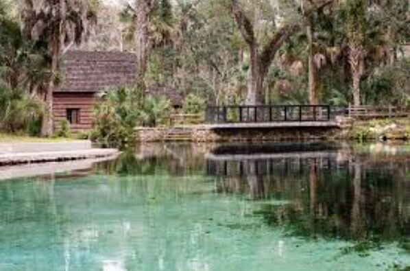Surrounded by lush greenery, this serene setting features a tranquil body of water and a charming wooden bridge.